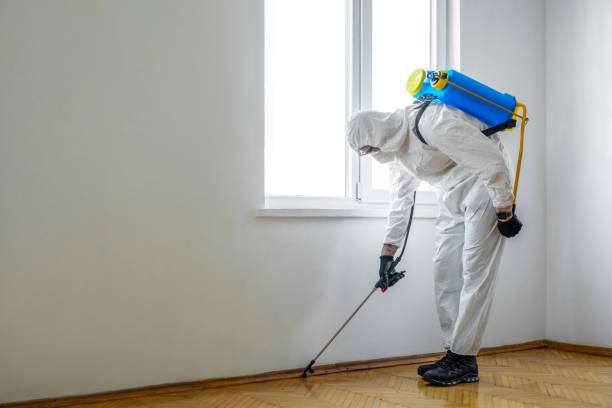 Best Pest Removal Services  in Oli, PA