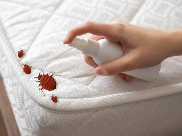 Pest Control Cost in Paoli, PA
