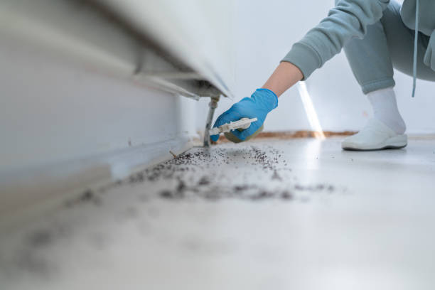 Best Rat Extermination Near Me  in Oli, PA