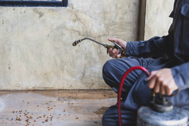Best Best Pest Control Companies  in Oli, PA