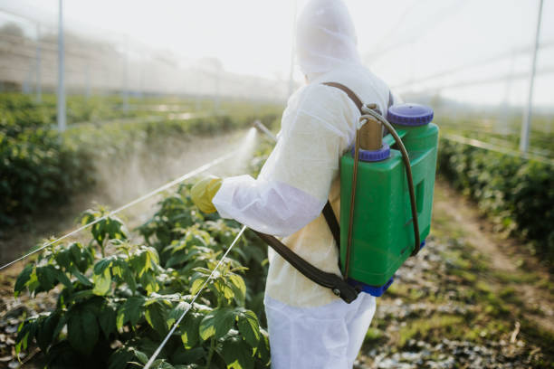 Best Best Pest Control Companies  in Oli, PA